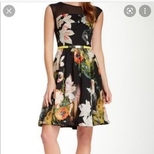 Ted Baker London Opulent Bloom Cameela Dress Sz 1